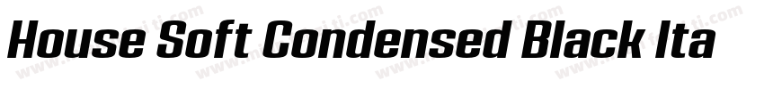 House Soft Condensed Black Italic字体转换